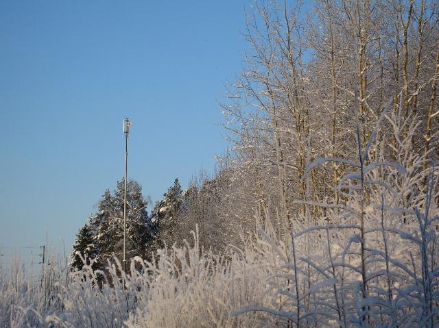 2010_talvikuvia 028.jpg